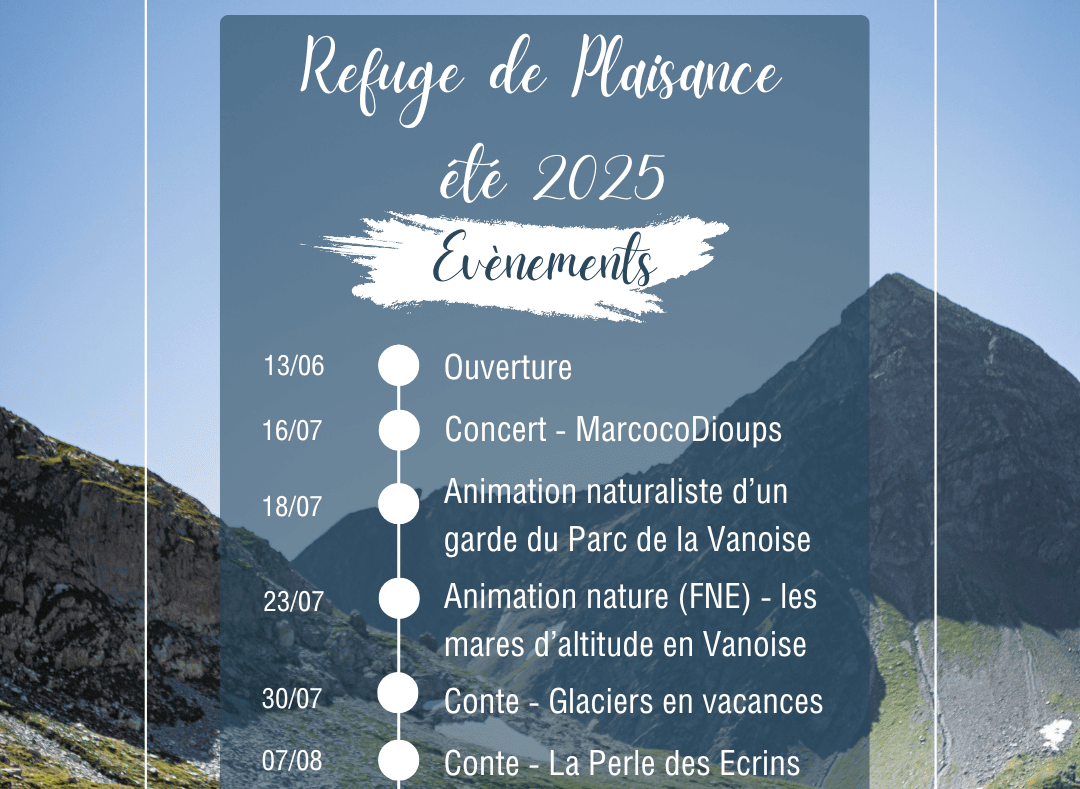 Programme été
