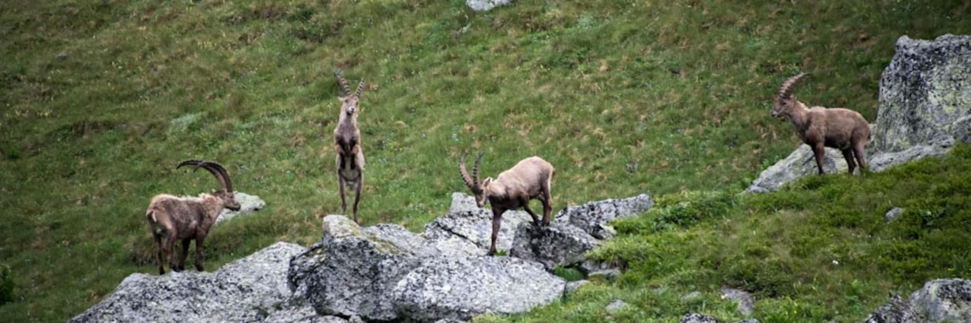 découvrez une nature sauvage et préservée